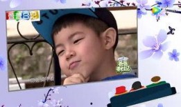 最新娱乐事件大爆料新闻,最新娱乐事件大爆料，明星幕后真相曝光！