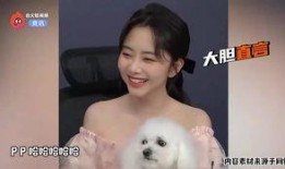 邓伦谭松韵最新爆料,甜蜜互动引粉丝热议，幕后故事揭秘！