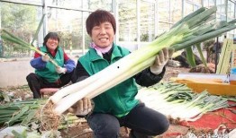 洋大葱 洗澡在线观看,一场别开生面的网络奇遇