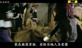 风月电影在线在线观看,沉浸式观影体验，尽享视听盛宴