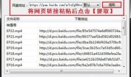 吃瓜网址网红 百度网盘